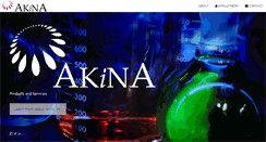 Desktop Screenshot of akinainc.com