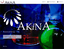 Tablet Screenshot of akinainc.com